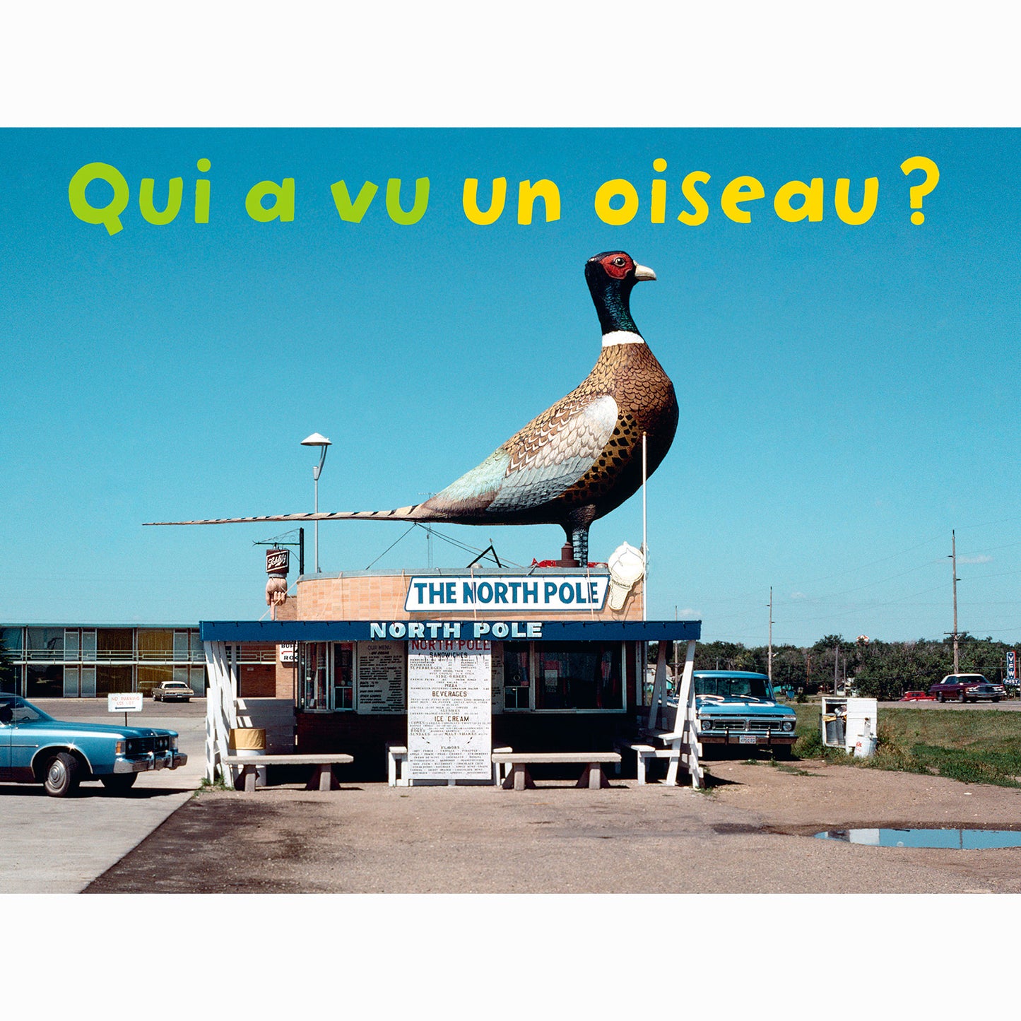 Qui a vu un oiseau?