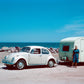 COCCINELLE_VOLKSWAGEN